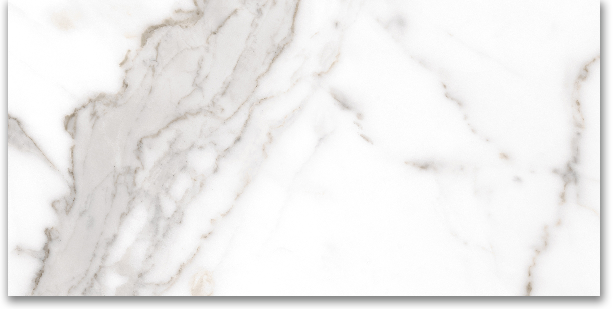 12X24 Polished Amore Grey | Marino Tile NY