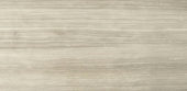 12X24F Clay Polished | Marino Tile NY