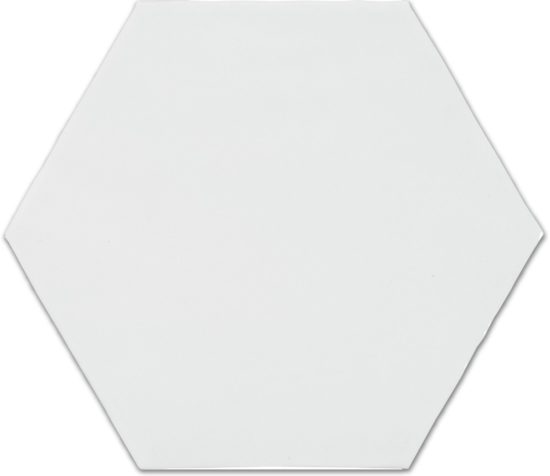 6" Bray Powder Glossy Hexagon