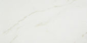 Amalfi Calacatta Honed 12X24 | Marino Tile NY