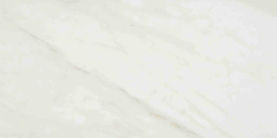 Amalfi Calacatta Honed 12X24 | Marino Tile NY