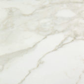 Amalfi Calacatta Honed 24X24 | Marino Tile NY