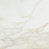 Amalfi Calacatta Honed 24X24 | Marino Tile NY