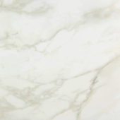 Amalfi Calacatta Honed 24X24 | Marino Tile NY