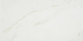 Amalfi Calacatta Honed 24X48 | Marino Tile NY