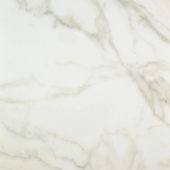 Amalfi Calacatta Polished 24X24 | Marino Tile NY