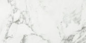 Arabescato Verona Honed 12X24 | Marino Tile NY