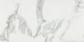 Arabescato Verona Honed 12X24 | Marino Tile NY