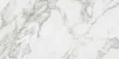 Arabescato Verona Honed 12X24 | Marino Tile NY