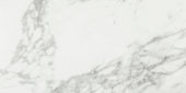 Arabescato Verona Honed 24X48 | Marino Tile NY