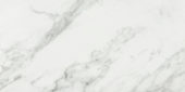 Arabescato Verona Honed 24X48 | Marino Tile NY