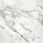 Arabescato Verona Honed 32X32 | Marino Tile NY