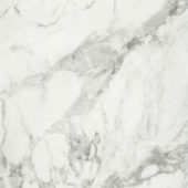 Arabescato Verona Honed 32X32 | Marino Tile NY