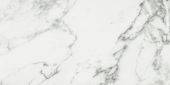 Arabescato Verona Polished 12X24 | Marino Tile NY