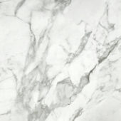 Arabescato Verona Polished 24X24 | Marino Tile NY