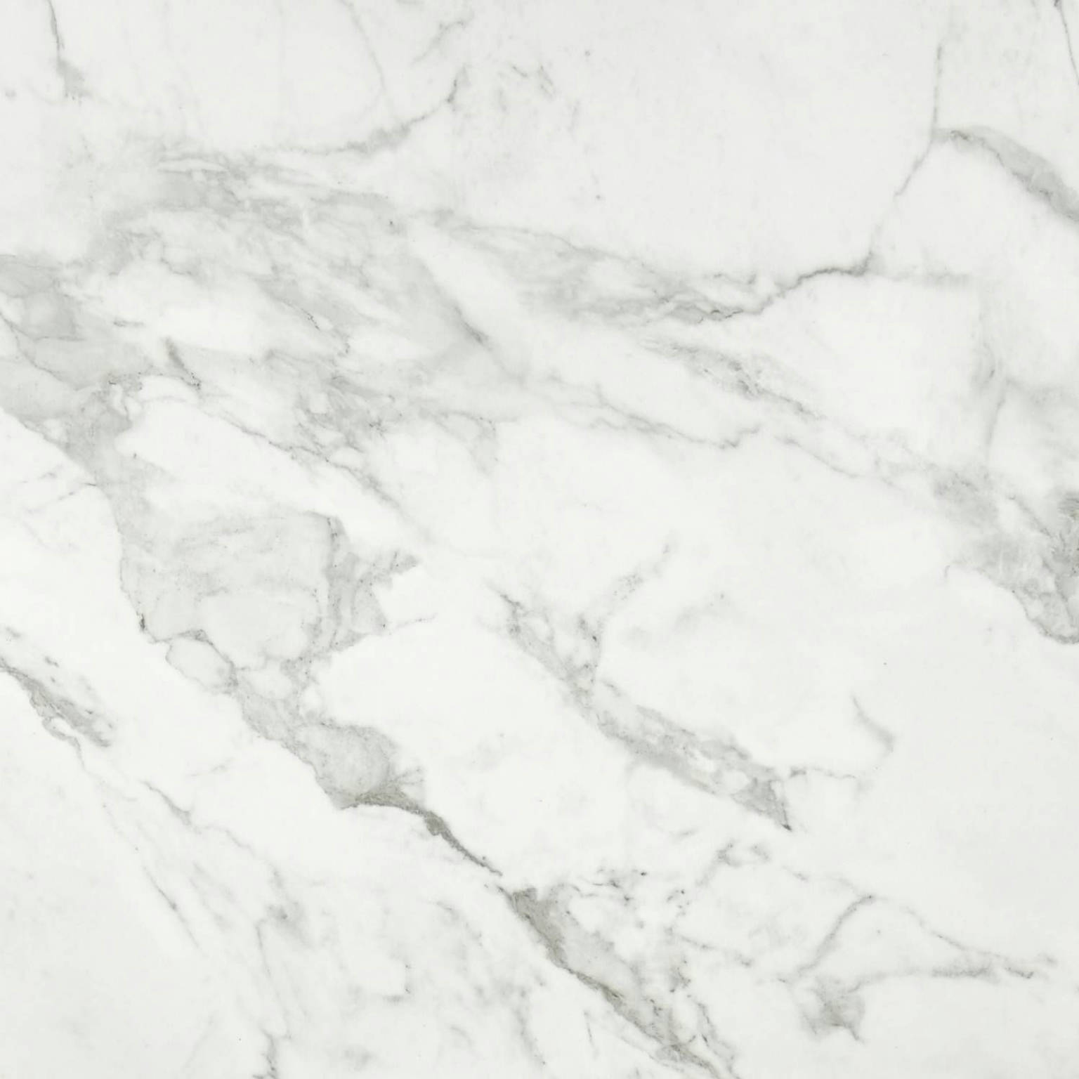Arabescato Verona Polished 24X24 | Marino Tile NY