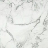 Arabescato Verona Polished 24X24 | Marino Tile NY