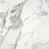 Arabescato Verona Polished 24X24 | Marino Tile NY