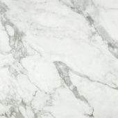 Arabescato Verona Polished 24X24 | Marino Tile NY