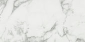 Arabescato Verona Polished 24X48 | Marino Tile NY