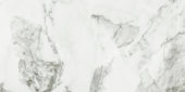 Arabescato Verona Polished 24X48 | Marino Tile NY