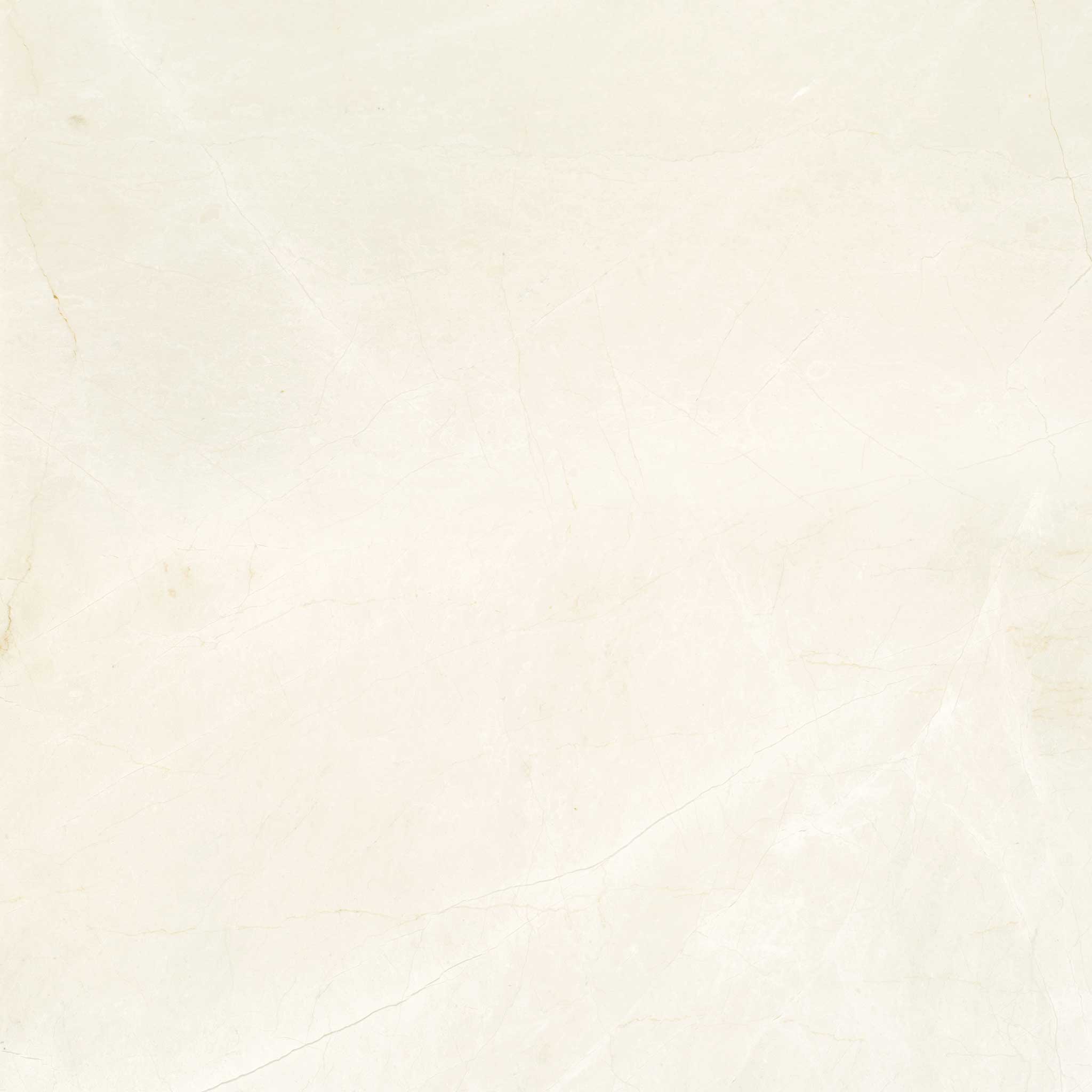 Avorio Crema 24x24