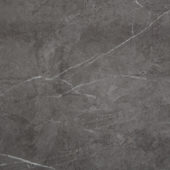 Carpantian Gloss Wall Panel 48x120 | Marino Tile NY