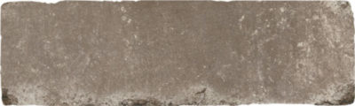 Field Tile 2.875” X 9.75” Clove