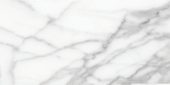 Florence 12X24F Statuario Matte | Marino Tile NY