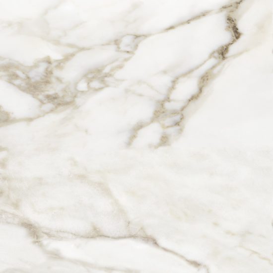 Florence 20X20F Calacatta Matte | Marino Tile NY