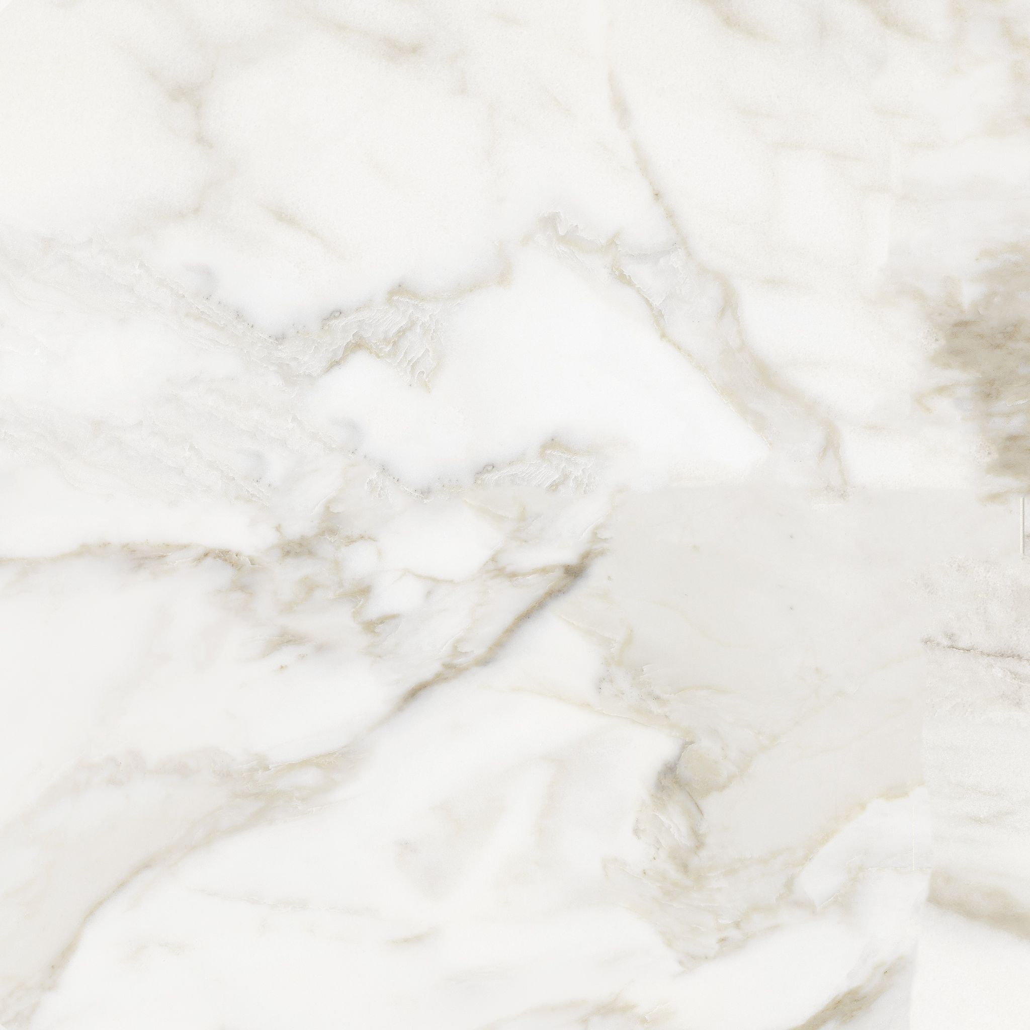 Florence 20X20F Calacatta Matte