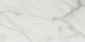 Golden Calacatta Matte 12X24 | Marino Tile NY