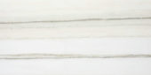 Matte Enchantment 12X24 | Marino Tile NY
