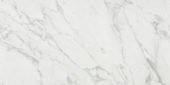 Milano Statuario Honed 24X48 | Marino Tile NY
