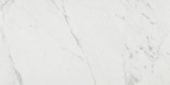 Milano Statuario Honed 24X48 | Marino Tile NY