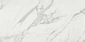 Milano Statuario Polished 24X48 | Marino Tile NY