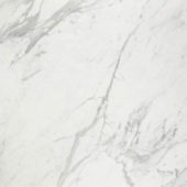 Milano Statuario Polished 32X32 | Marino Tile NY