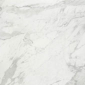 Milano Statuario Polished 32X32 | Marino Tile NY