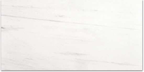 Polished Devotion 24X48 | Marino Tile NY