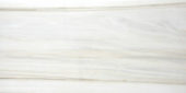 Polished Enchantment 12X24 | Marino Tile NY