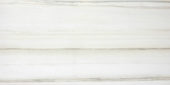 Polished Enchantment 12X24 | Marino Tile NY