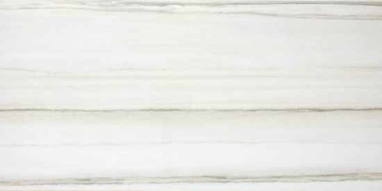 Polished Enchantment 12X24 | Marino Tile NY
