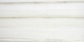 Polished Enchantment 16X32 | Marino Tile NY