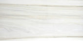 Polished Enchantment 16X32 | Marino Tile NY