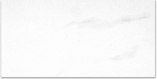 Polished Infatuation 12X24 | Marino Tile NY