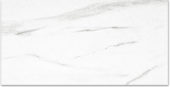 Polished Infatuation 24X48 | Marino Tile NY