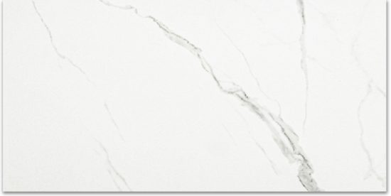 Polished Love 12X24 | Marino Tile NY