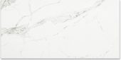 Polished Love 12X24 | Marino Tile NY