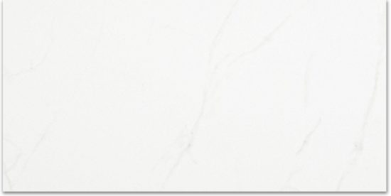 Polished Love 12X24 | Marino Tile NY