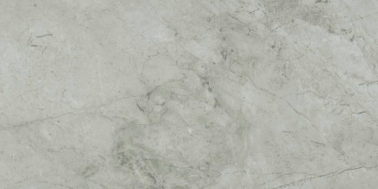 Roma Argento Honed 12X24 | Marino Tile NY